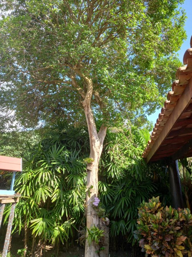Familia Silvia Perico Villa Ilhabela Exterior foto