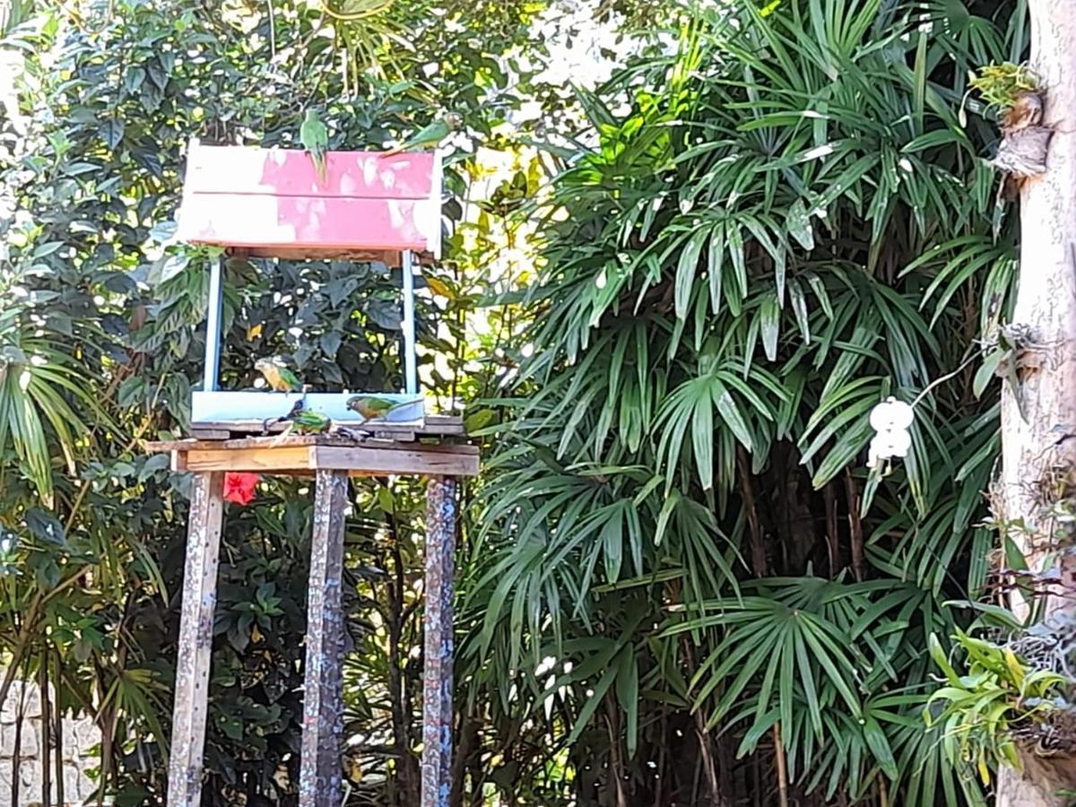 Familia Silvia Perico Villa Ilhabela Exterior foto